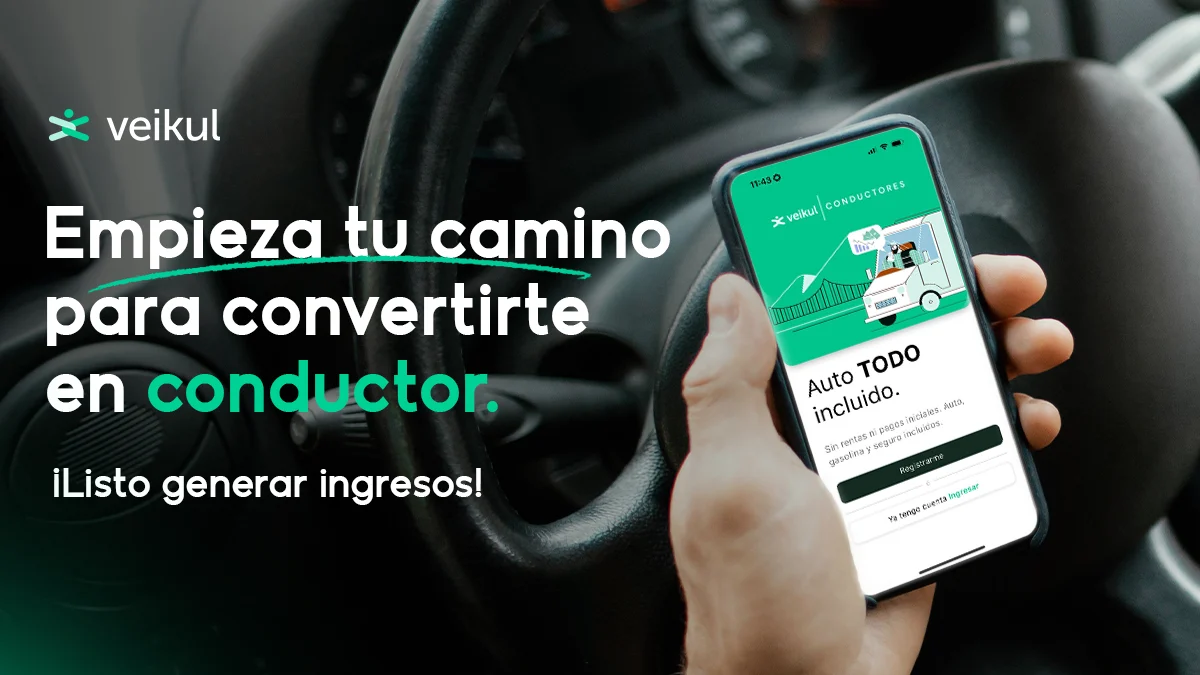 Registro en la app de Veikul